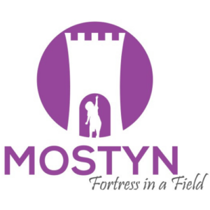 Mostyn-Fortress-in-a-Field